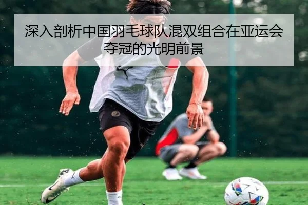 深入剖析中国羽毛球队混双组合在亚运会夺冠的光明前景（8868 SPORTS）